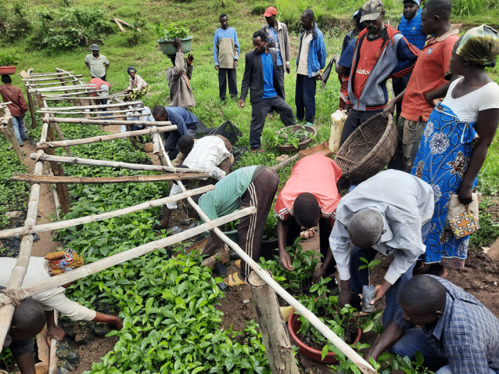 Rwanda Rwamatamu Hirwa PB - Image 4