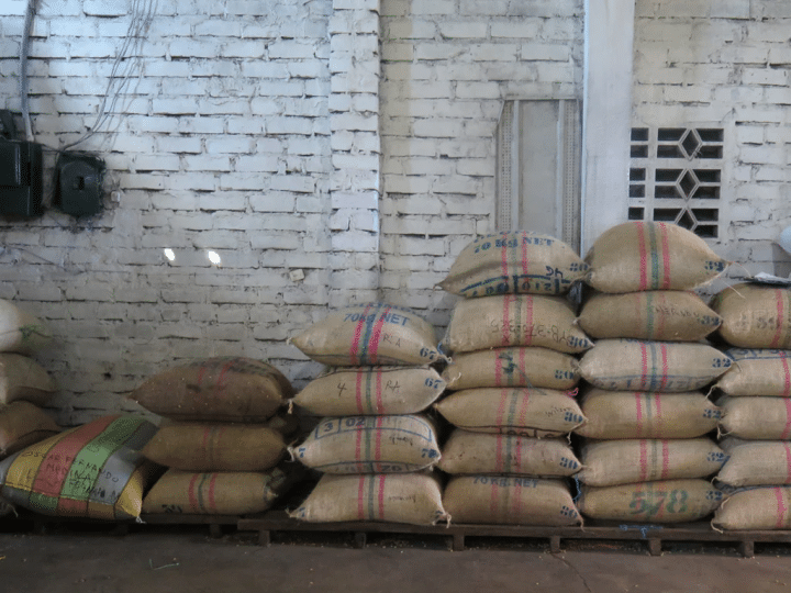 Colombia Finca Pedregal - Image 4