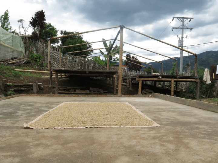 Colombia Finca Pedregal - Image 3