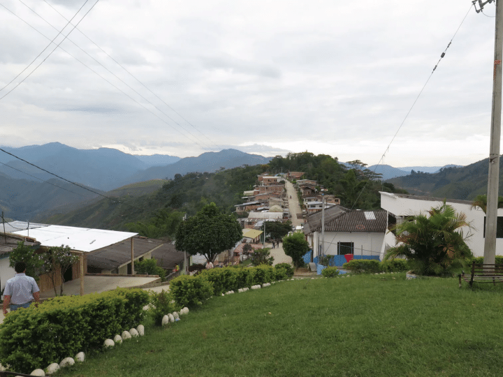 Colombia Finca Pedregal - Image 2