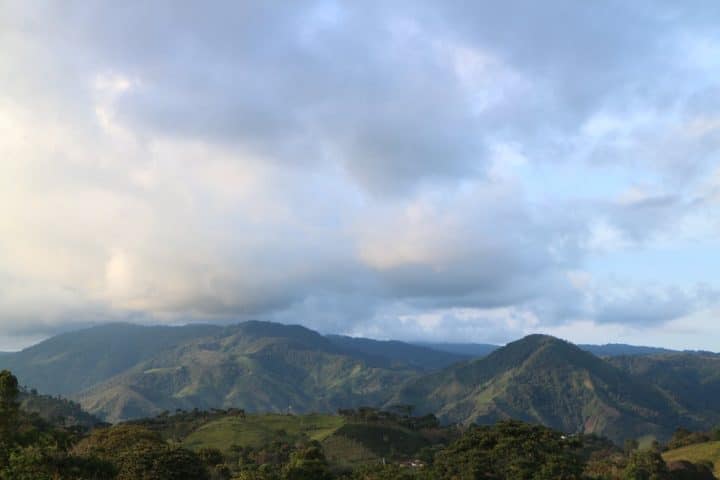 Colombia Imbachi AA - Image 5