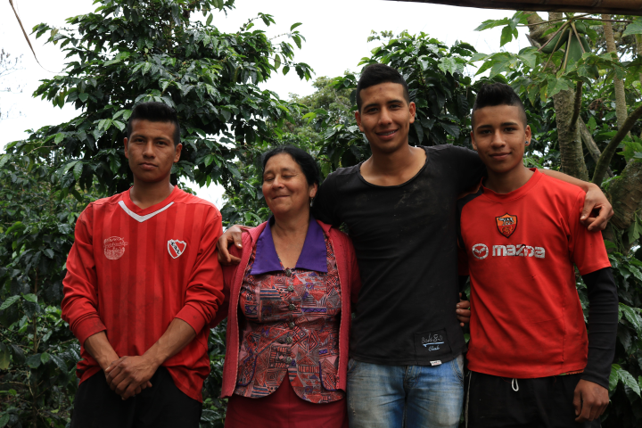 Colombia Imbachi AA - Image 7