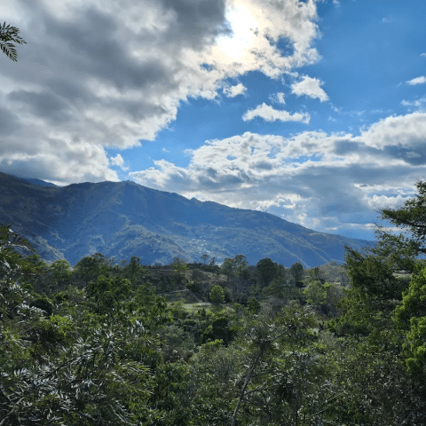 Costa Rica La Minita